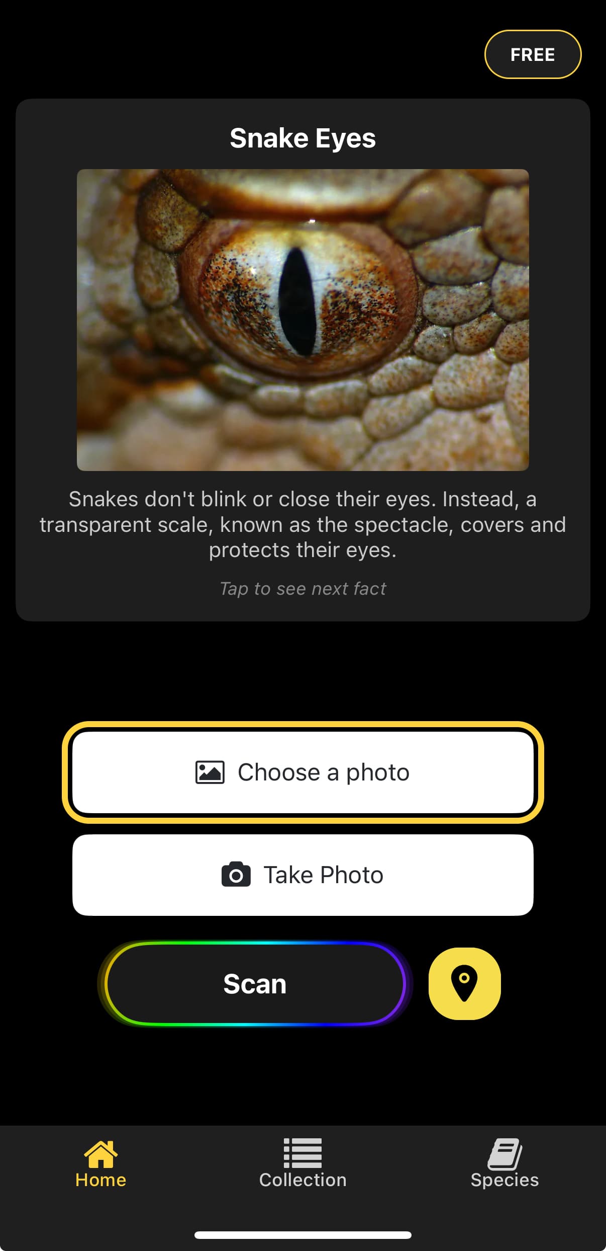 Snake ID App - Educational Content
